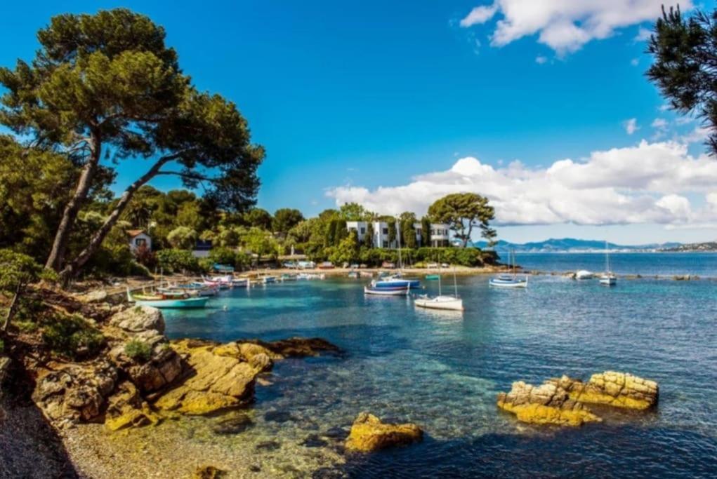 Renove A Antibes, A 10 Min A Pied Appartamento Antibes
